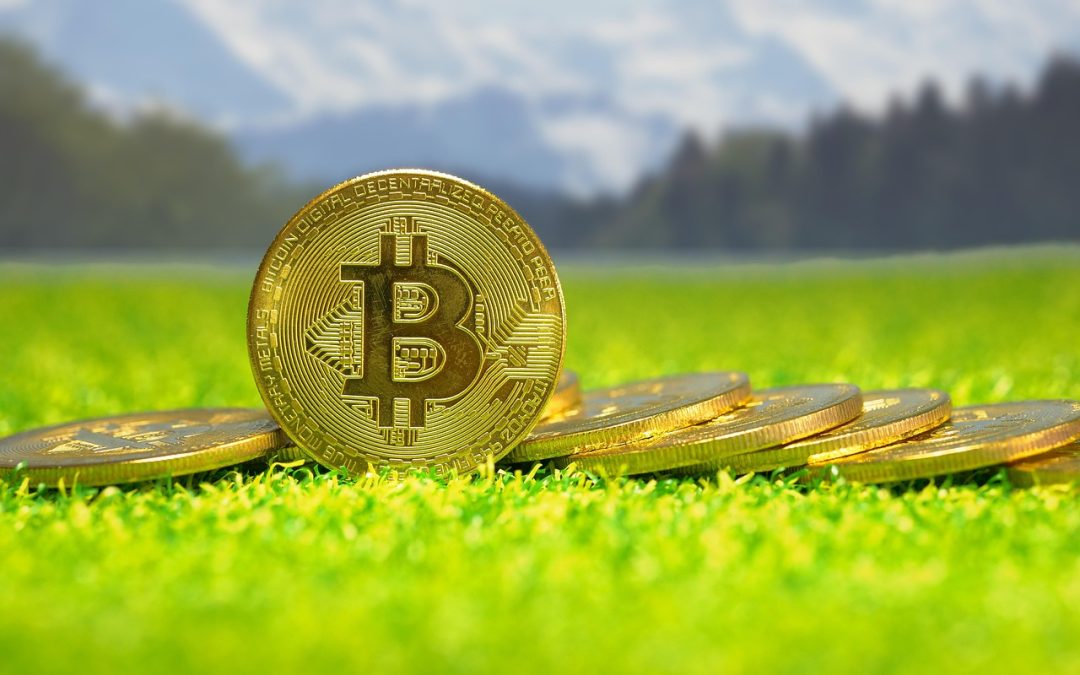 hire a hacker to recover scammed crypto online